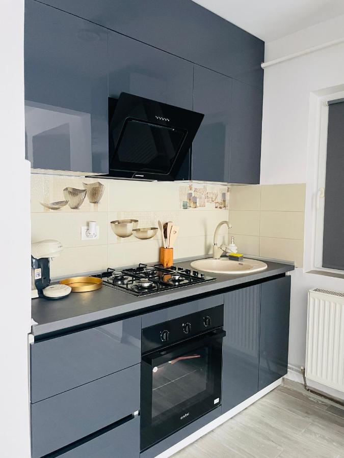 Timisoara Central Apartment New Parking !! Exterior photo